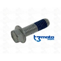 Tornillo TH EP 6 X35