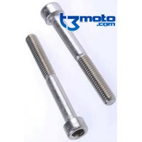 Tornillo M6 X 50 