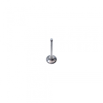 valvula admision Beta RR 350-390 4T 2013-2020