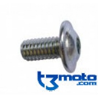 Tornillo carroceria m6x12