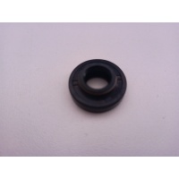 Reten bomba agua sherco trial ST2023 2024