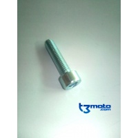 Tornillo inferior Bomba Freno Trasero TRS