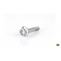 Tornillo hexagonal m10x40 titanium